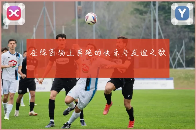 在绿茵场上奔跑的快乐与友谊之歌